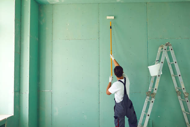 Best Environmental Consulting for Mold Prevention  in Eagle River, WI