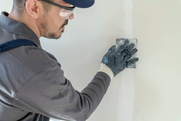 Best Asbestos and Lead Testing During Mold Inspection  in Eagle River, WI