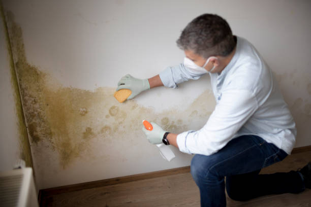 Best HVAC Mold Inspection and Cleaning  in Eagle River, WI