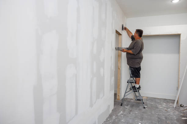 Best Mold Odor Removal Services  in Eagle River, WI
