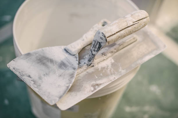 Best Mold Damage Restoration  in Eagle River, WI